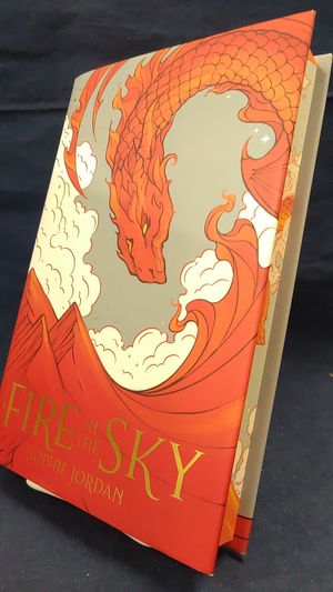 A Fire in the Sky image number 0