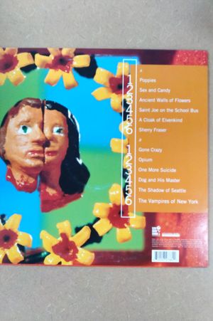 Marcy Playground image number 1