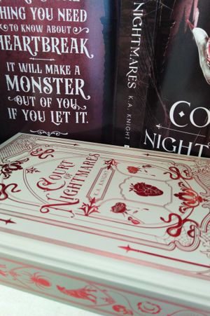 Court of Nightmares image number 1