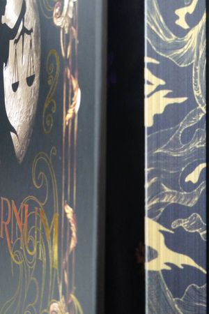 Aeternum image number 2
