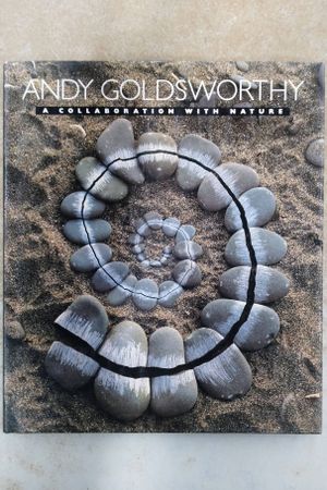 Andy Goldsworthy image number 0