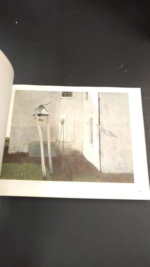 Andrew Wyeth image number 0