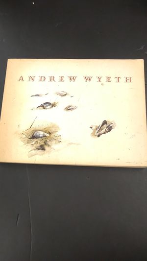 Andrew Wyeth image number 2