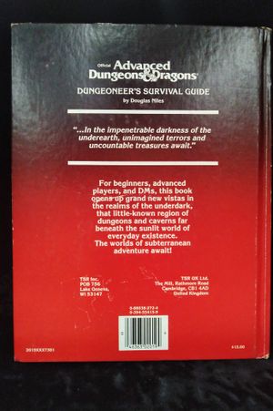 Dungeoneer's Survival Guide image number 1