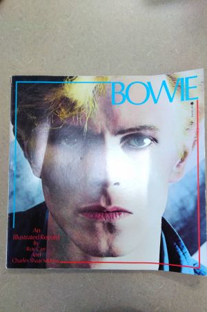 David Bowie: An Illustrated Record image number 0