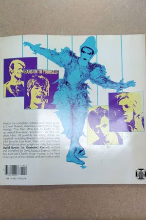 David Bowie: An Illustrated Record image number 1