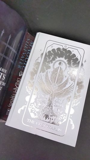 The Dream Thieves [Fairyloot] image number 1