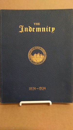 The Indemnity image number 0