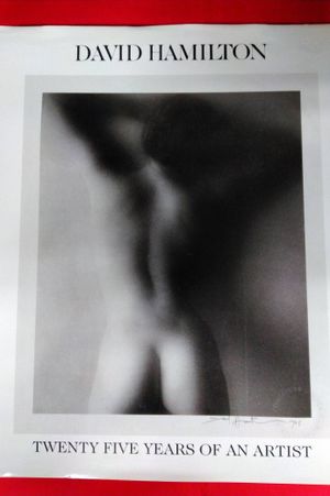 David Hamilton: Twenty Five Years of an Artist image number 0