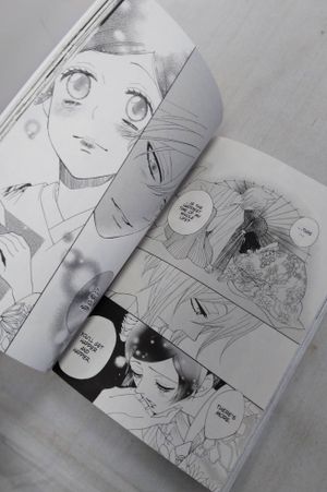 Kamisama Kiss Vol. 25 image number 2