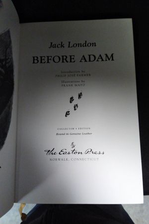Before Adam image number 1
