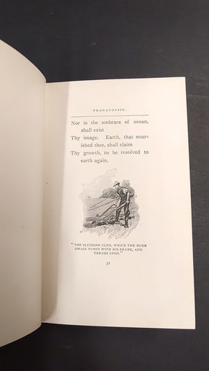 Thanatopsis image number 2