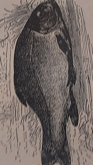 The Complete Angler - Or the Contemplative Man's Recreation of Izaak Walton and Charles Cotton image number 1