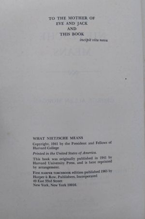 What Nietzsche Means (Torchbooks) image number 2