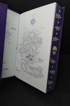 The Bone Witch image number 1
