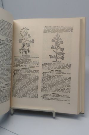 The Herbalist image number 2