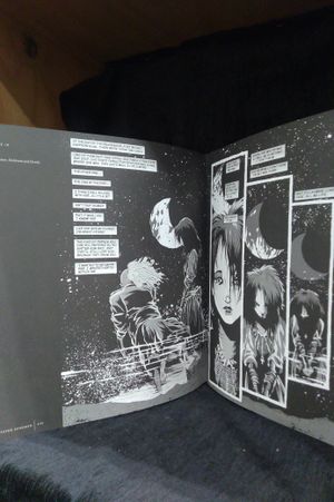 Annotated Sandman Vol. 3 image number 1