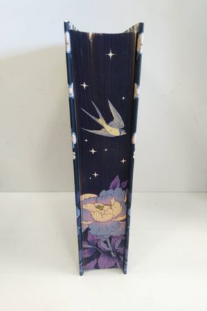 Daughter of the Moon Goddess image number 2