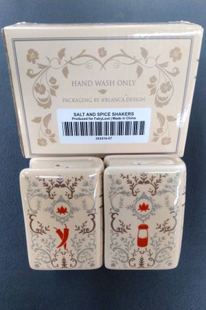 Salt and Spice Shakers Fairyloot image number 1