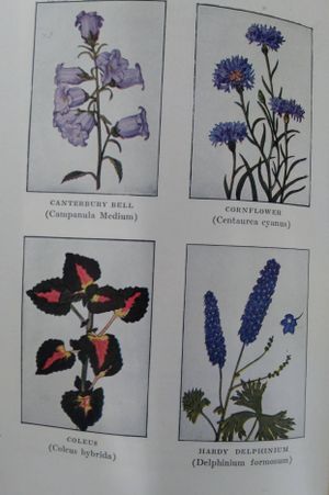 The Book of Garden Flowers image number 1