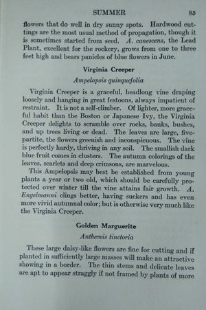 The Book of Garden Flowers image number 2