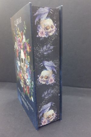 Storm of Chaos and Shadows Omnibus image number 1
