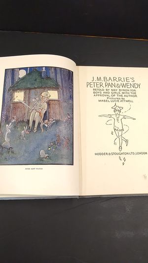 Peter Pan & Wendy image number 1