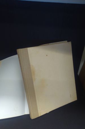 The Search for Lee Harvey Oswald image number 1