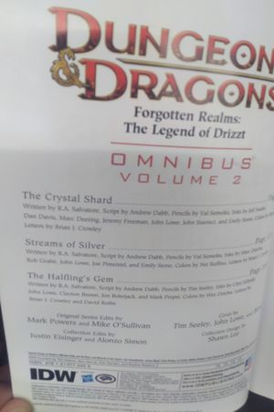 Dungeons & Dragons: Forgotten Realms - Legends of Drizzt Omnibus Volume  2 image number 1