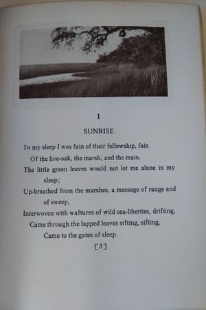 Hymns of the Marshes image number 2