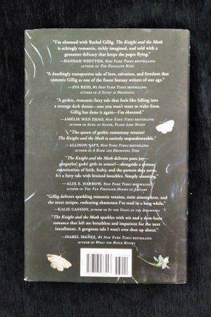 The Knight and the Moth image number 2
