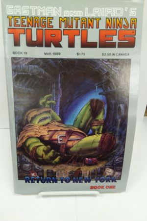 Teenage Mutant Ninja Turtles #19 image number 0