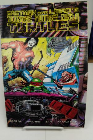 Teenage Mutant Ninja Turtles #30 image number 0