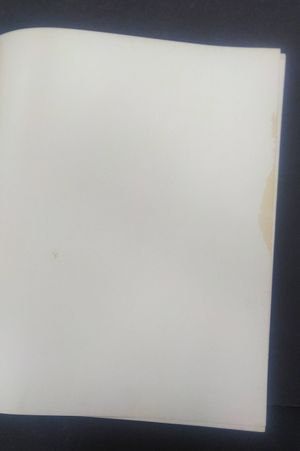 Forward-March! Section One: The Photographic Record Of America In The World War And The Post War Social Upheaval image number 1