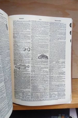 Webster's New International Dictionary Set image number 2