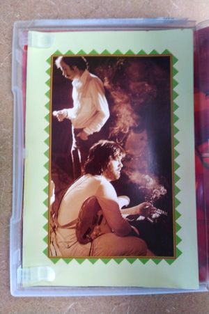 Little Feat: Skin It Back image number 2