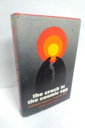 The Crack in the Cosmic Egg image number 0