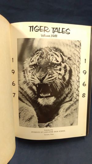 Tiger Tales: 1967-1968 image number 1