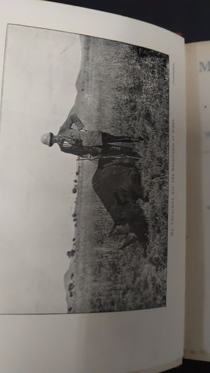 My African Journey image number 1