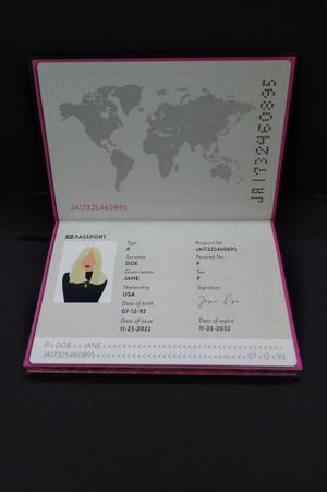 The Blonde Identity image number 1