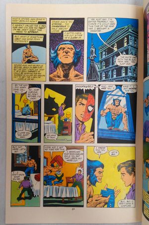 Spider-Man VS. Wolverine #1 image number 2