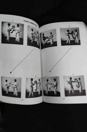 Uechiryu Karate Do : Classical Chinese Okinawan Self Defense image number 2