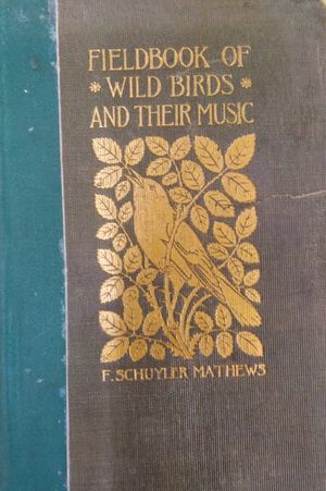 Fieldbook of Wild Birds and their Music image number 0
