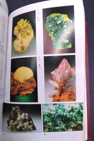 Rocks and Minerals  image number 1
