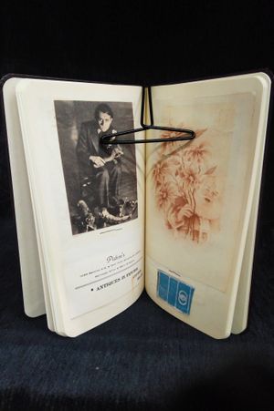 Brice Marden: Notebooks image number 0