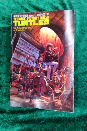 Teenage Mutant Ninja Turtles: The Collected Book Volume One image number 0
