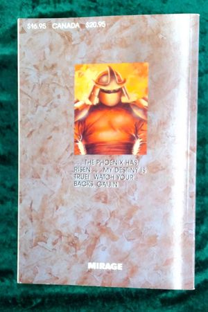 Teenage Mutant Ninja Turtles: The Collected Book Volume One image number 1