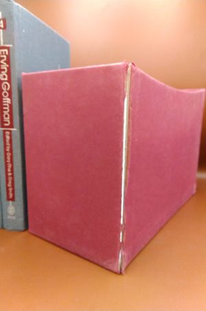 Erving Goffman (SAGE Masters in Modern Social Thought series) image number 1