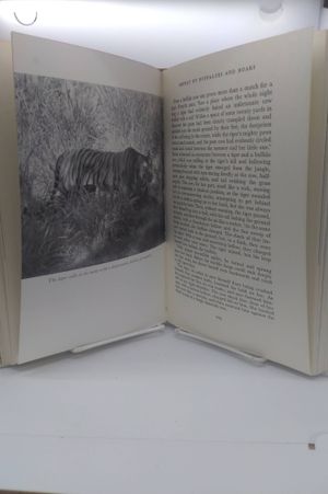 The world of the tiger image number 1