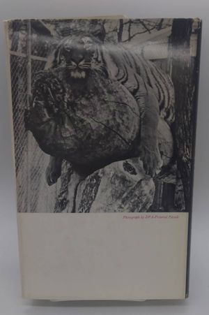 The world of the tiger image number 2